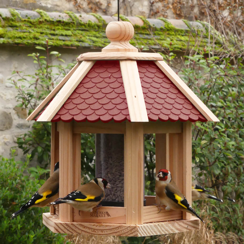 Petite Mangeoire En Plastique Pour Oiseaux - Pour Fruits, Légumes, Friandises - Vert, 4.2 Cm De Diamètre