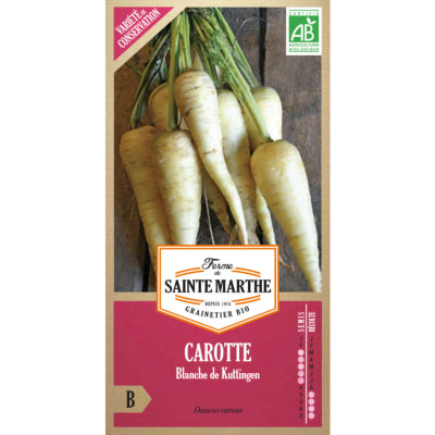 carotte-blanche-de-kuttingen-bio