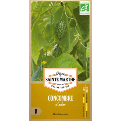 concombre-a-confire-bio-legume-insolite