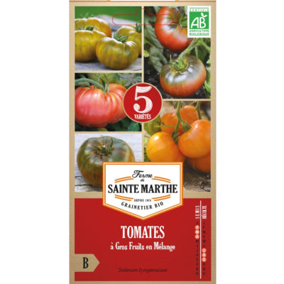 tomate-a-gros-fruits-en-melange-bio