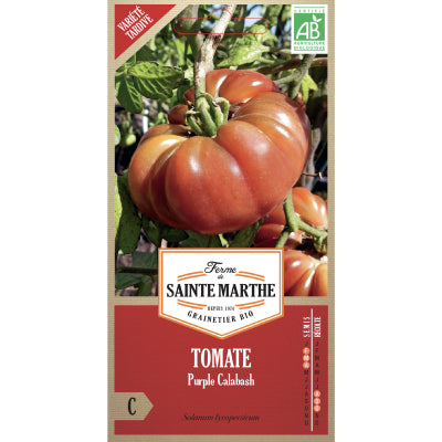 tomate-purple-calabash-bio