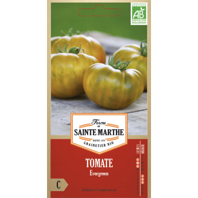 tomate-evergreen-bio