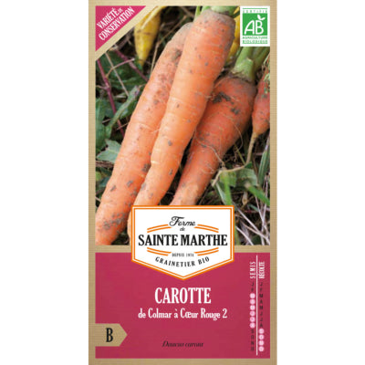 carotte-de-colmar-a-coeur-rouge-2