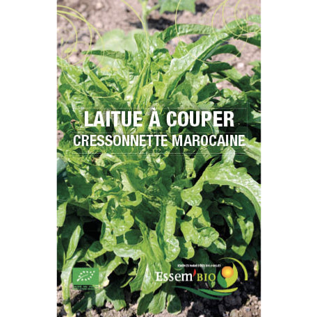 laitue-a-couper-cressonnette-marocaine-bio