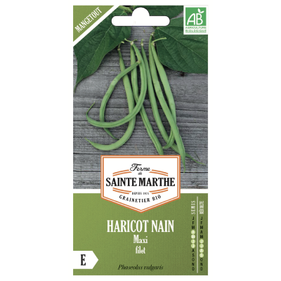 haricot-nain-maxi-filet-mangetout-bio