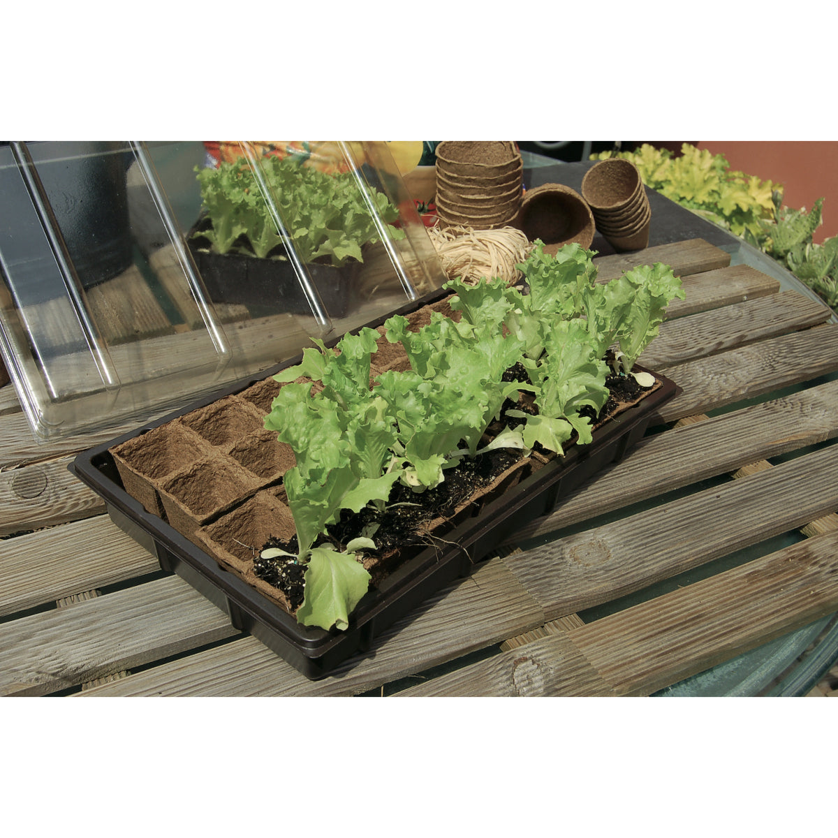 Kit mini serre Growing kit & 28 pots 100 % biodégradables - 5 x 5 cm 