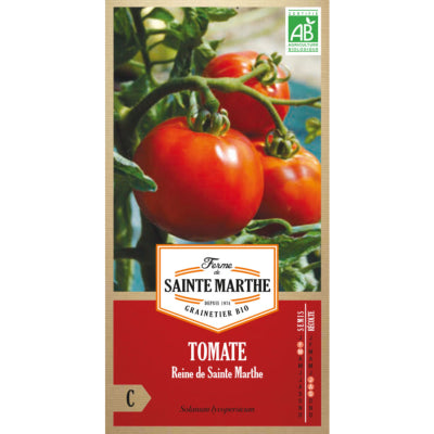 tomate-reine-de-sainte-marthe-bio