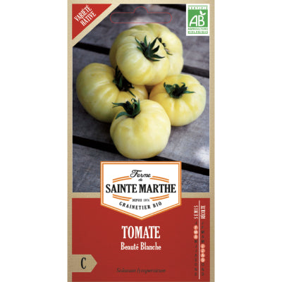 tomate-beaute-blanche-bio