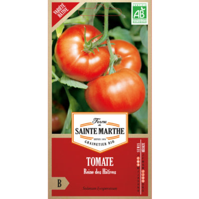 tomate-reine-des-hatives-bio