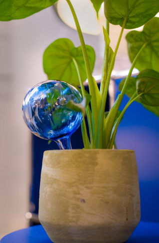 Globe d'arrosage en cristal pour plantes d'intérieur – Bleu océan –
