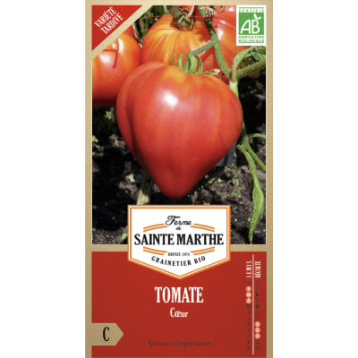 tomate-coeur-bio