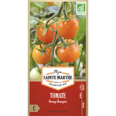 tomate-orange-bourgoin-bio