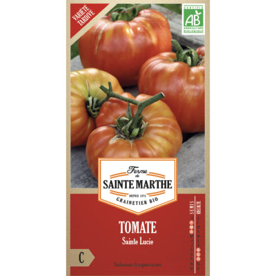 tomate-sainte-lucie-bio