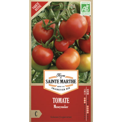 tomate-moneymaker-bio