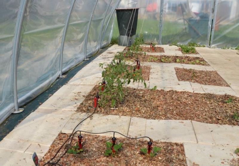 Ensemble d'irrigation par goutte à goutte pour jardin de BioPlus - Jardins  de l'écoumène