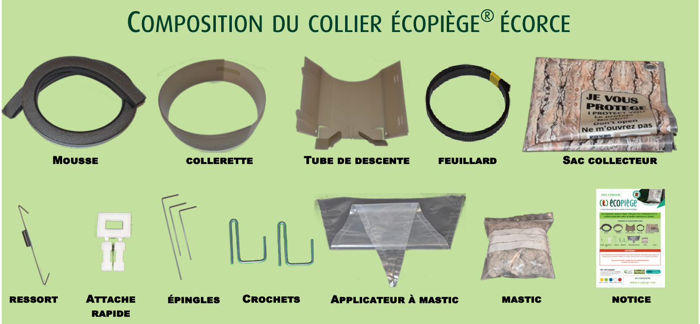 Collier Ecopiège®, la solution efficace et écologique contre la chenille  processionnaire : La Mésange Verte