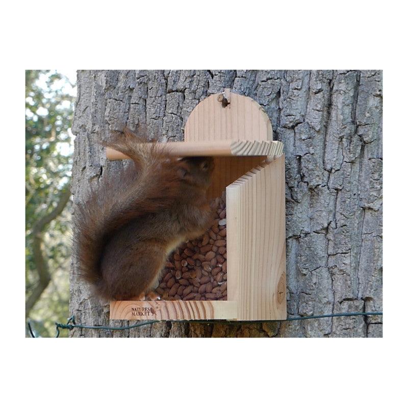 Mangeoire Pour Écureuils Greenkey - En Écorce Naturelle Avec Panneau Perspex Marron