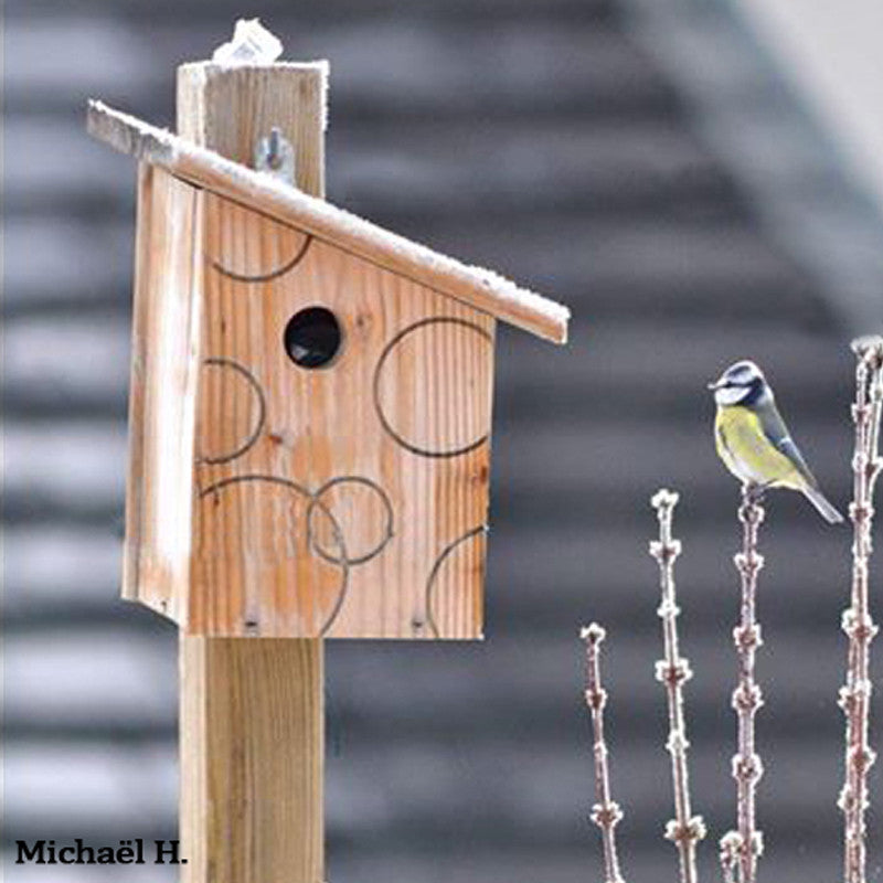 22 DIY de nichoirs, mangeoires et abris pour oiseaux