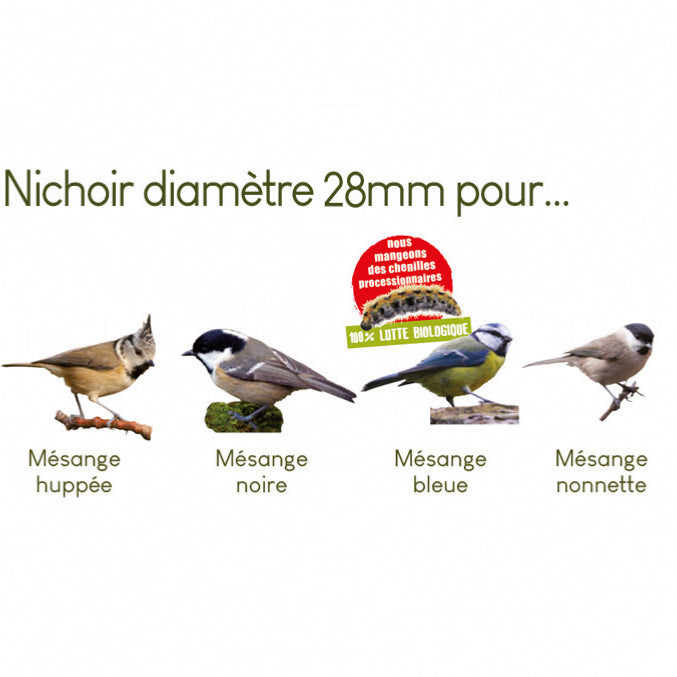 Nichoir à oiseaux et mangeoire à oiseaux mésanges - Ducatillon